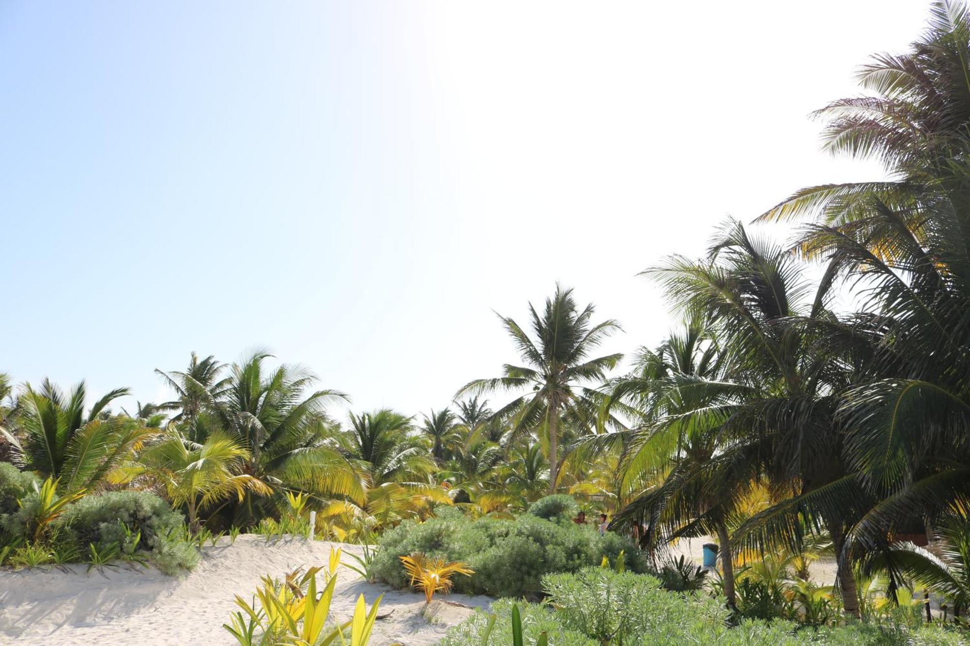 Hotel & Cabanas Zazil Kin Tulum Exterior photo